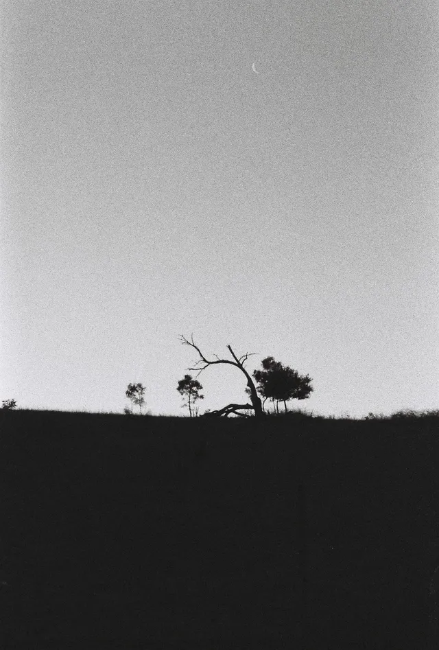 Canberra, ACT · Ilford Delta 3200 Pulled 1 stop