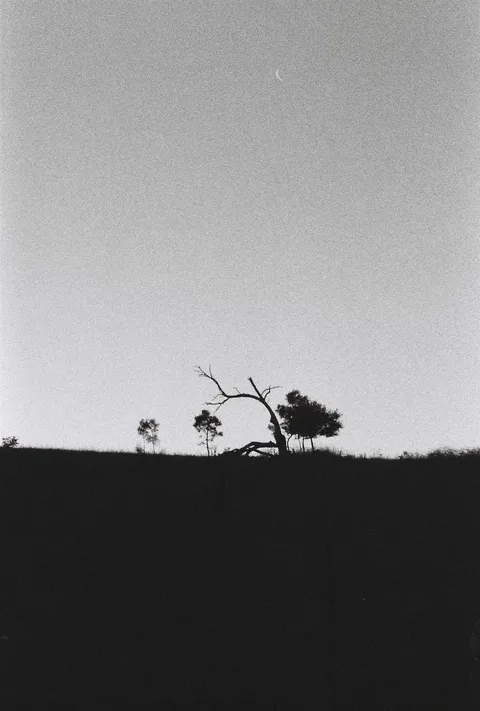 Canberra, ACT · Ilford Delta 3200 Pulled 1 stop