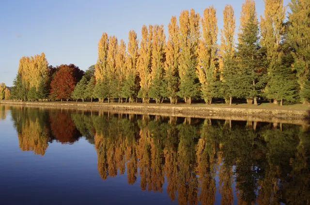 Canberra, ACT · Kodak Ektachrome 100