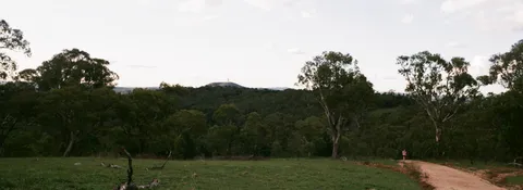 Canberra, ACT · Fuji Superia 100