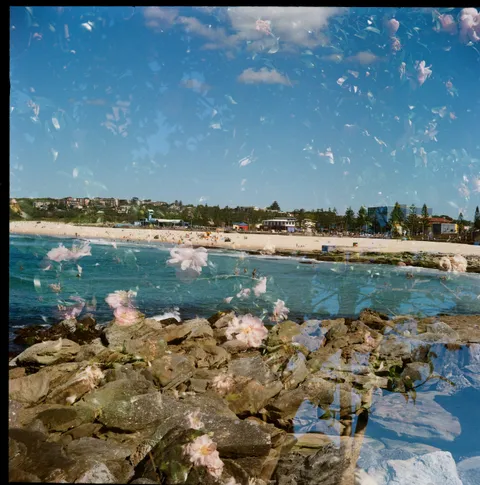 Sydney, NSW · Kodak Gold 200 (120mm)