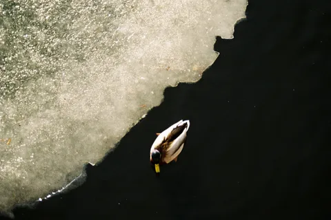 Berlin, Germany