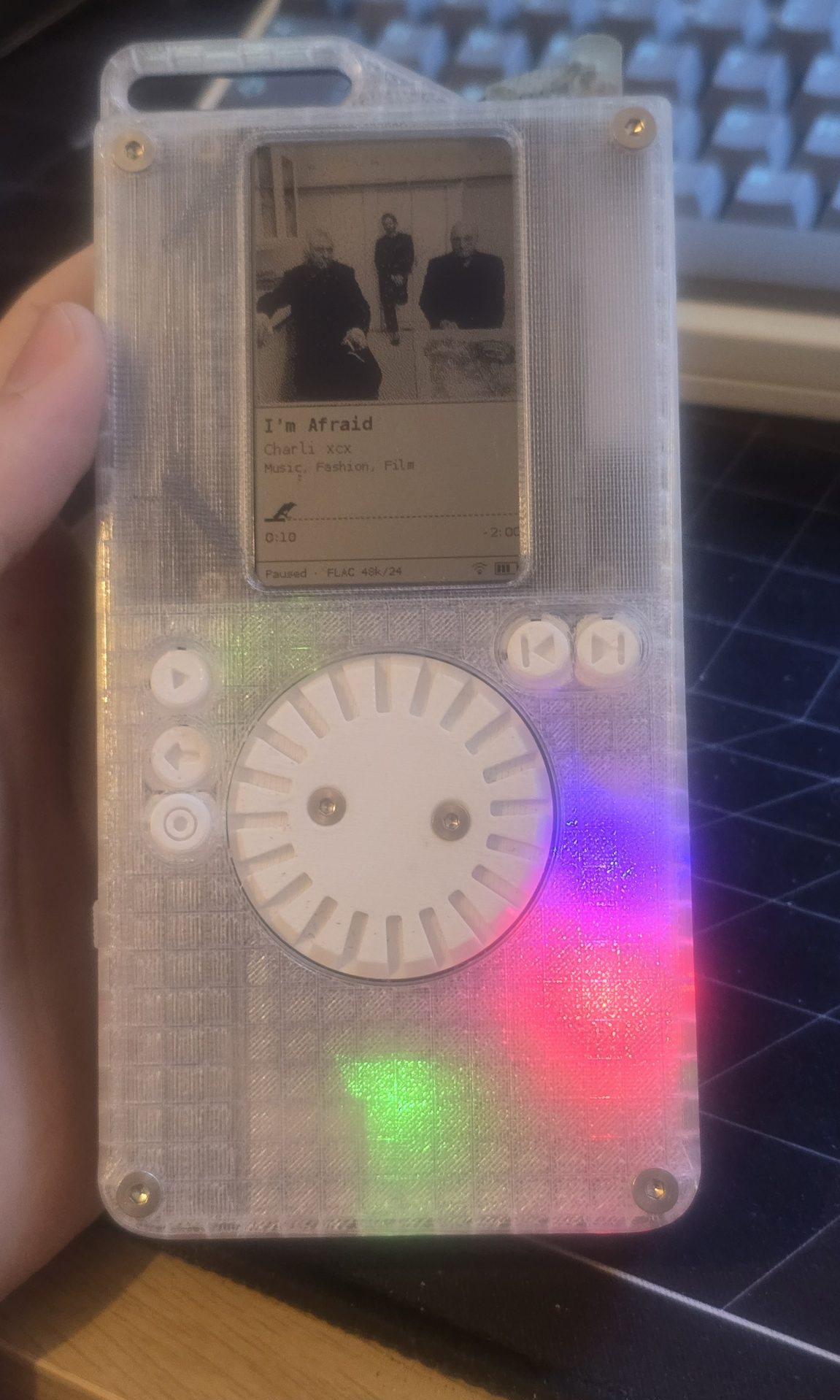 Close-up of the real screen, paused on a FLAC track, with the bird on the progress line