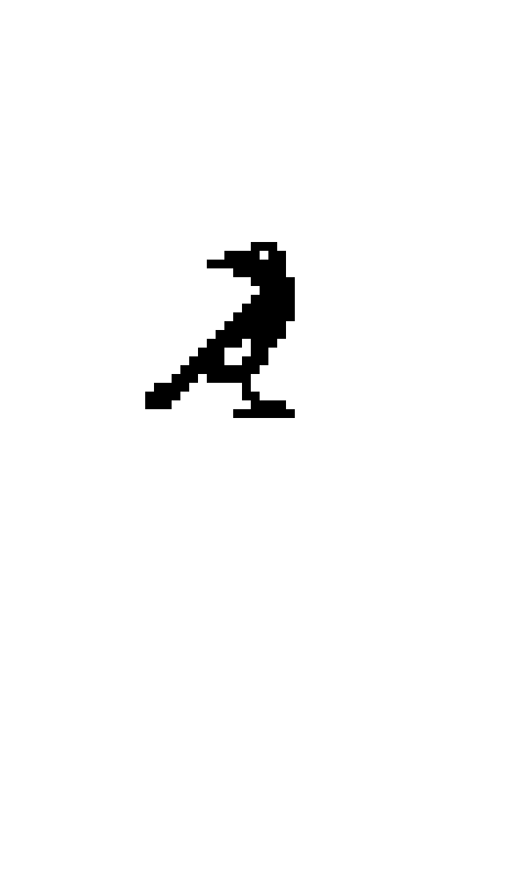 Boot animation: the currawong flies in and writes the name